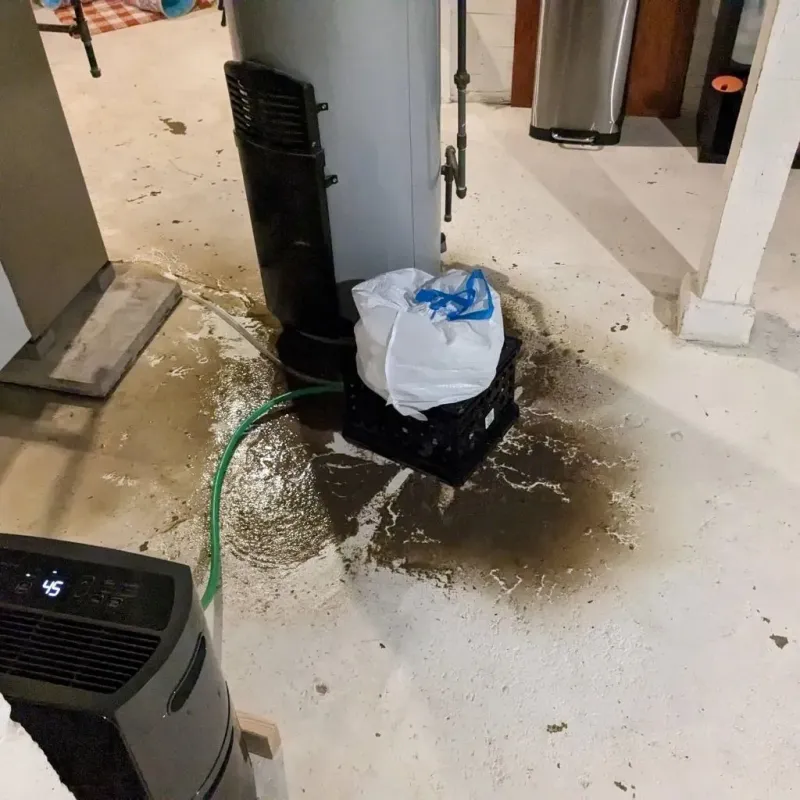 Sewage Backup Cleanup Service in Diamondhead, MS